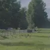 Kira Cameron - @evanfriedman910874 - TikTok