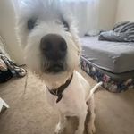 Evan Fuller - @evanfuller9 - Instagram