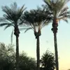 Evan Fuller - @evan_fuller - TikTok