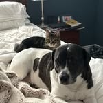 Evan Gardiner - @evanag16 - Instagram