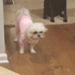 Evan Gardiner - @gardiner.evan - Instagram