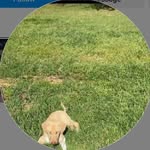 Evan Garner - @evang_arner731 - Instagram