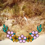 Evan Garner - Facebook