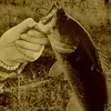 FiShing hero🎣 - @evangarris1 - TikTok