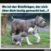 Eva Nachbagauer - @evanachbagauer - TikTok
