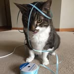 Evan Glenn - @campbell_soup311 - Instagram