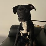 Evan Gooch - @evan.gooch - Instagram