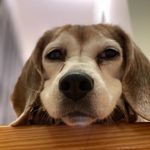 @evan_gooding - Instagram