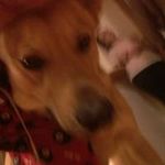 Evan Grabowski - @grabowevan - Instagram
