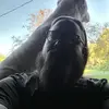 Evan Graf - @evangraf - TikTok