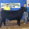 evangraves32 - @evangraves32 - TikTok