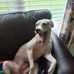 Evan Greenstein - Facebook