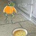 Evan Gundersen - Facebook