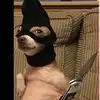 Evan Guzmán - @jc904798 - TikTok