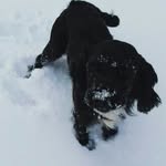 Not ruby anymore - @evan_hacked_thi - Instagram