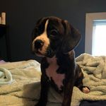Evan Hagerty - @hagertyevan - Instagram
