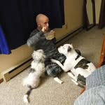 Bradley Evan Halstead - @behalstead - Instagram