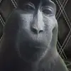 Evan.0 - @evan.han0 - TikTok