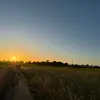 Evan - @evanhan1986 - TikTok