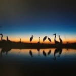 Evan Hanner - @evanhanner_2005 - Instagram