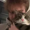 Evan Harmon - @evanxharmon - TikTok