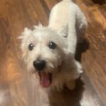 Evan Harrell - @evan.harrell36 - Instagram