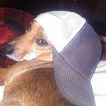 Evan Harrell - @wideboi343 - Instagram