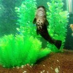 Evan Hartman - @evan.hartman.3958 - Instagram