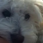 Evan  Oberster - @evan_has_swag_17 - Instagram