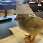 Evan haun - @ehaun55 - Instagram