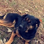 Evan Havens - @evan_havens10 - Instagram