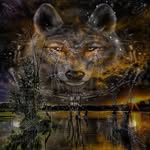 Evan Havens - @evanhavens2002 - Instagram