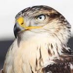 Evan Hawk - @evan.hawk.18 - Instagram