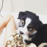 Evan Hays - @evan_shad0w - Instagram