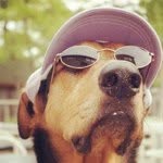 Evan Hendry - @e_the_beast - Instagram