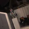 evanhennessy23 - @evanhennessy23 - TikTok