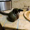 evanhennessy447 - @evanhennessy447 - TikTok