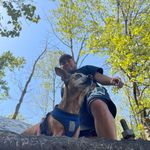 Evan Herrera - @dawgtu - Instagram