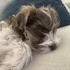 evanherrington - @jixytp12777 - TikTok
