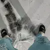 Evan herrington - @ddvelp - TikTok