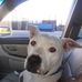 Evan Hess - Facebook