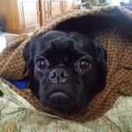 Evan Hess - @evanhe23 - Instagram