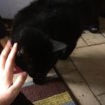 Evan Hess - @hess_evan - Instagram