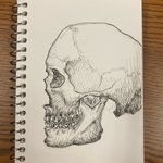Evan Hodge - @_evan.hodge_ - Instagram