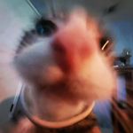 Evan Hodges - @evan_hodges5718 - Instagram