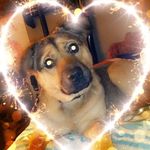 Evan Hodges - @evan.hodges.796 - Instagram