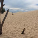 Evan Horton - @evan.horton.39 - Instagram