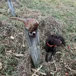 Evan Houghteling - @evan_houghteling14 - Instagram