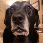Evan Huffman - @evanhuffman5 - Instagram