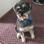 Evan Huggins - Facebook